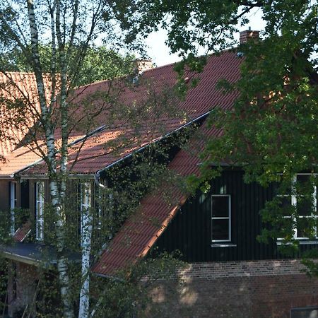 Hotel Ferien Hohes Elbufer Schnakenbek Zewnętrze zdjęcie